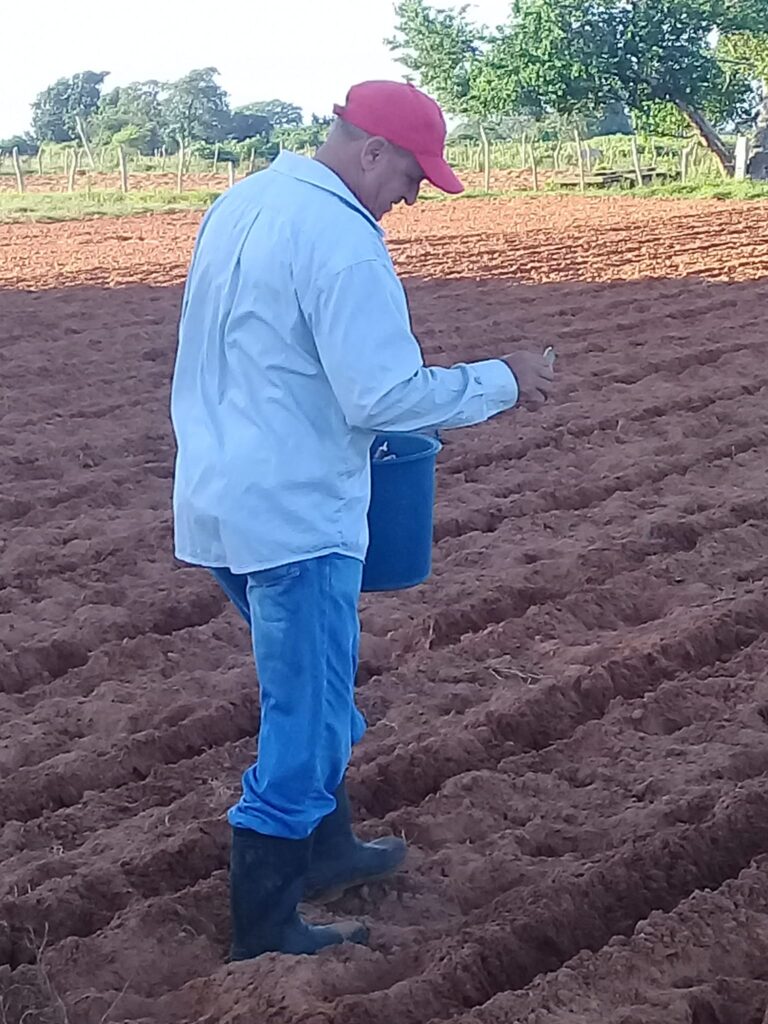 campaña de frío Sandino