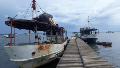 Laboran en la recuperación del sector pesquero en Cortés