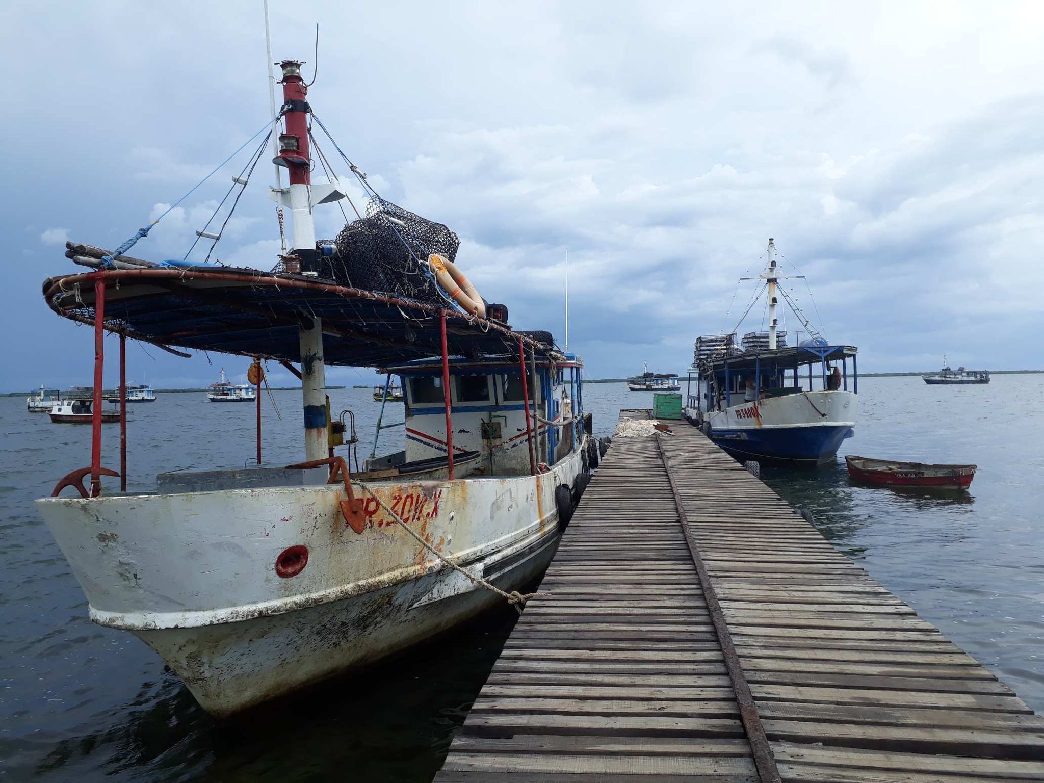 Laboran en la recuperación del sector pesquero en Cortés