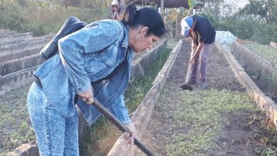 Continúa jornada de trabajo voluntario en Sandino.