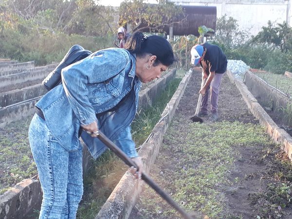 Continúa jornada de trabajo voluntario en Sandino.