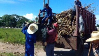 Higienizar la ciudad: misión principal del Servicios Comunales en Sandino.