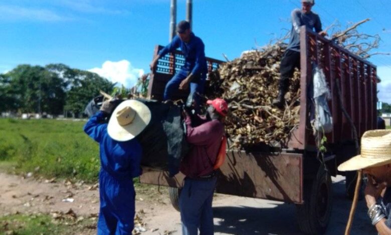 Higienizar la ciudad: misión principal del Servicios Comunales en Sandino.