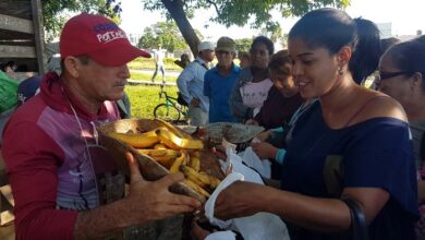 feria agroecuaria comercial sandino