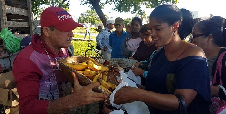 feria agroecuaria comercial sandino