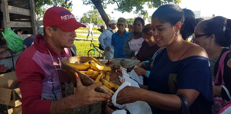 feria agroecuaria comercial sandino