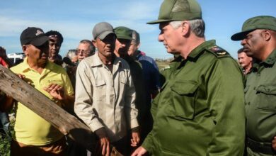 canel recuperación pinar