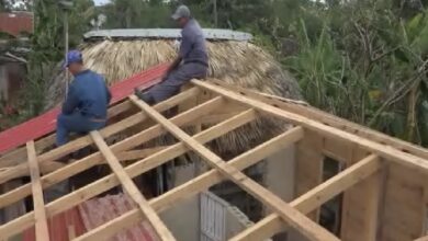 Una casa para Rosa