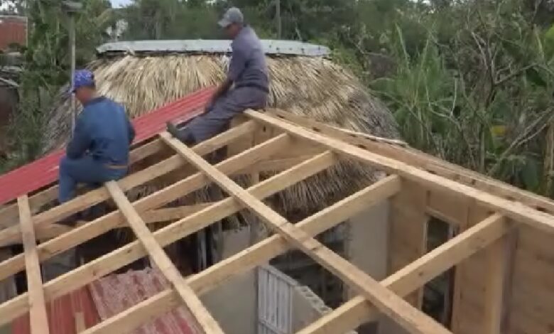 Una casa para Rosa