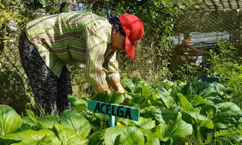 Cuando el empeño toma forma de mujer