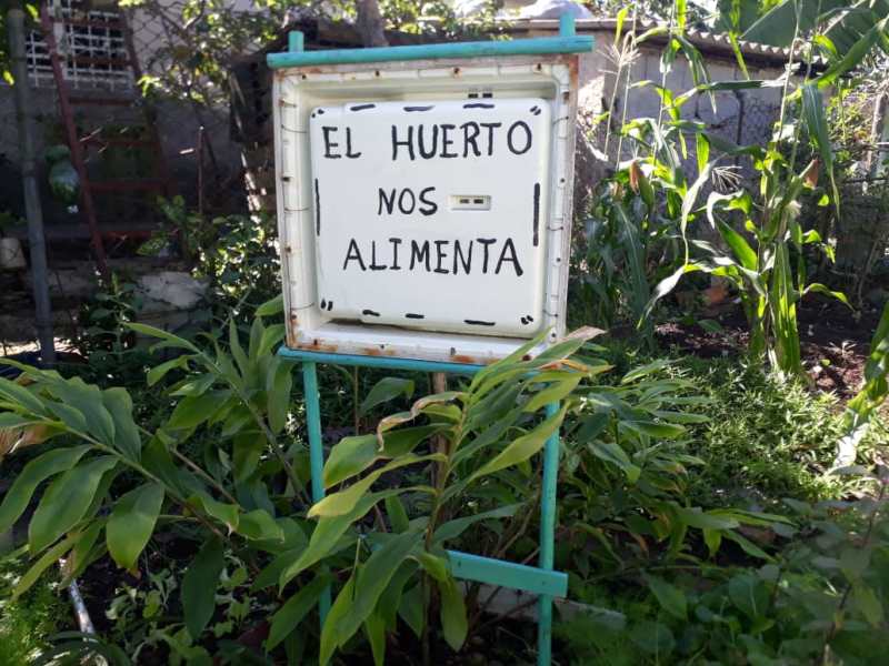 recorrido Grupo Nacional de la Agricultura Urbana