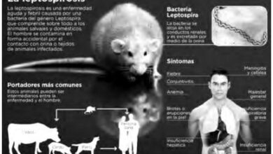 Proporcionan  autoridades sanitarias en Sandino información necesaria sobre la leptospirosis