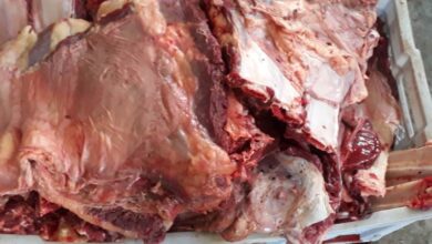 venta carne de res ganado vacuno