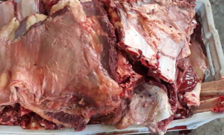 venta carne de res ganado vacuno