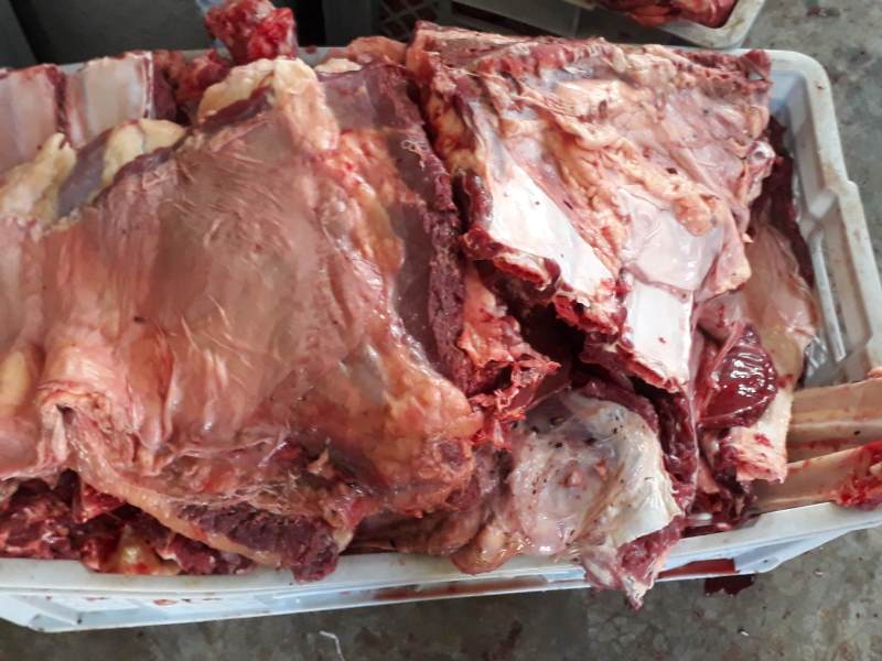 venta carne de res ganado vacuno