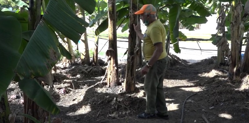ángel carballo Moreno química agricultura sandino