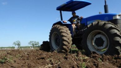 contratación producción agropecuaria