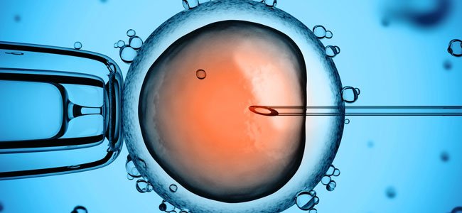 fertilización in vitro