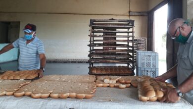 trabajadores industria alimentaria sandino