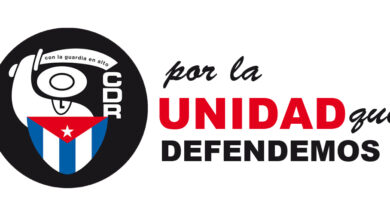 CDR en Sandino ante el X Congreso