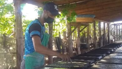 Producción local de Sandino al servicio del fondo habitacional