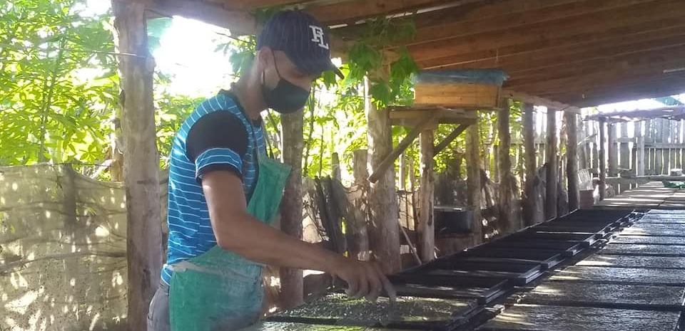 Producción local de Sandino al servicio del fondo habitacional