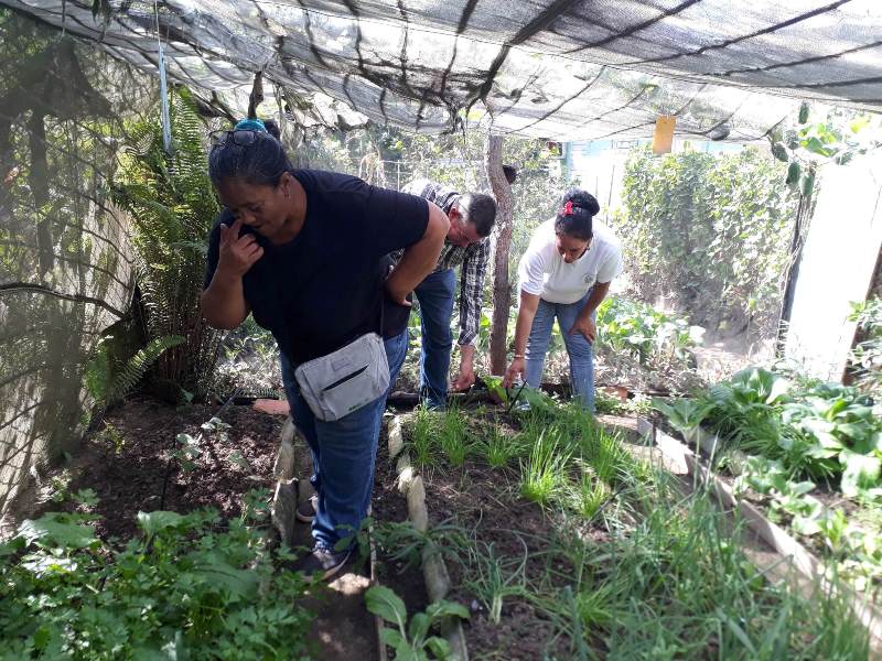 grupo nacional agricultura urbana