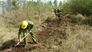 prevención incendios forestales