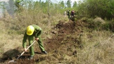 prevención incendios forestales