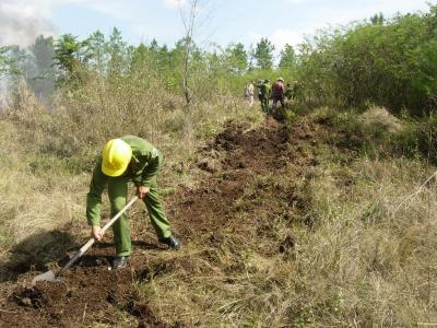 prevención incendios forestales