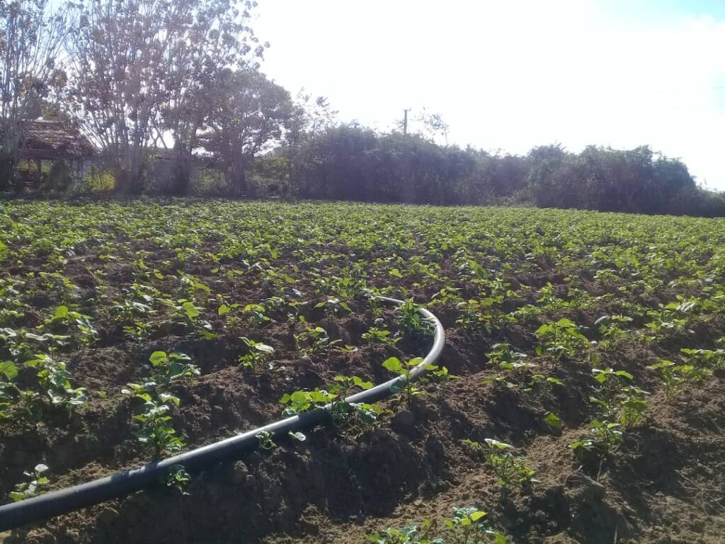 maría migdalia proyecto cuenca resiliente Cuyaguateje