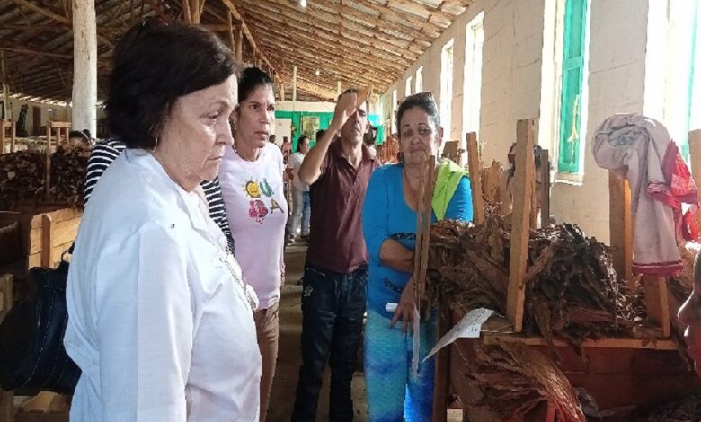 Prosiguen las jornadas de diálogo de las candidatas a Diputadas de la Asamblea Nacional del Poder Popular (ANPP) con el pueblo