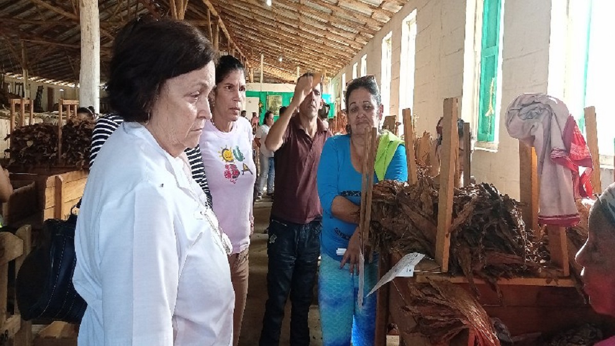 Prosiguen las jornadas de diálogo de las candidatas a Diputadas de la Asamblea Nacional del Poder Popular (ANPP) con el pueblo