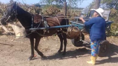 proyecto Cuenca resiliente Cuyaguateje