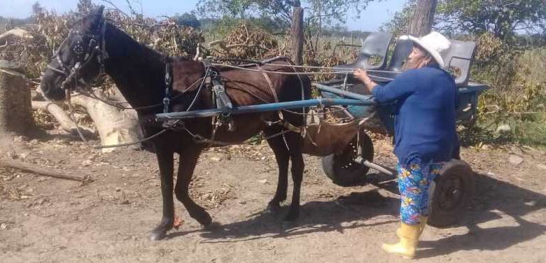 proyecto Cuenca resiliente Cuyaguateje