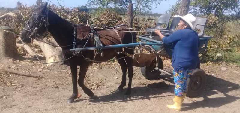 proyecto Cuenca resiliente Cuyaguateje