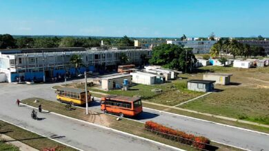 actividad económica sandino