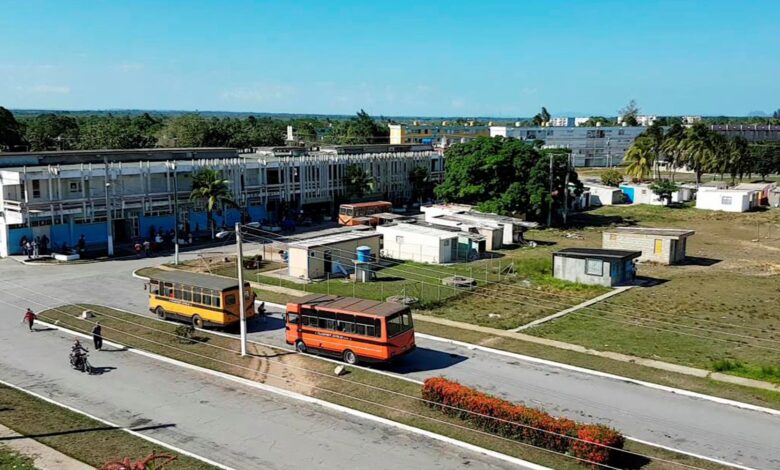 actividad económica sandino