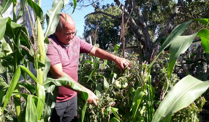 josé luis mons cultiva su pedacito