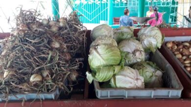 Sandino mercados y puntos de venta   
