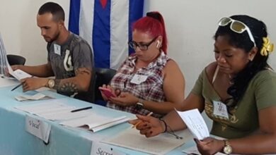 prueba dinámica elecciones diputados parlamento