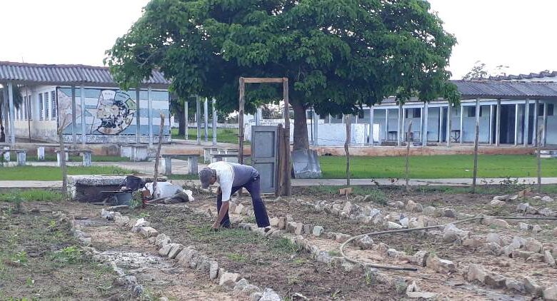 Autonomía alimentaria, reto del Seminternado XX Aniversario