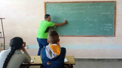 proceso docente educativo elena fernández castro