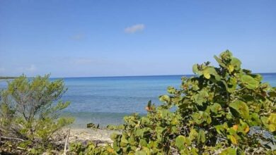Proyecto Núcleo Turístico local Uvero Quemado en Guanahacabibes