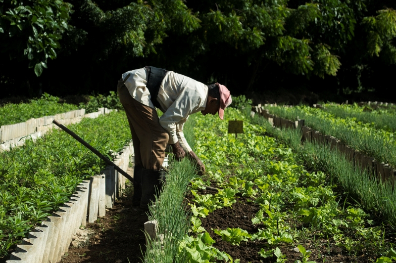 plan soberanía alimentaria