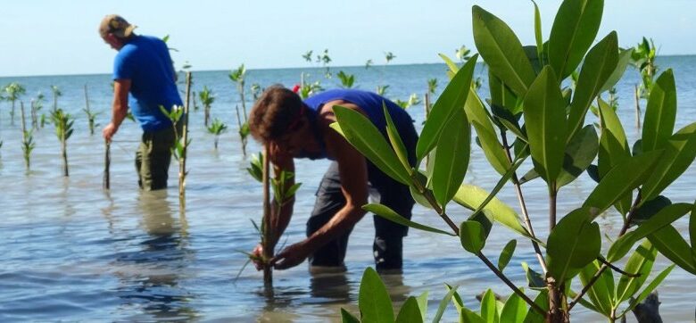 medio ambiente cuba