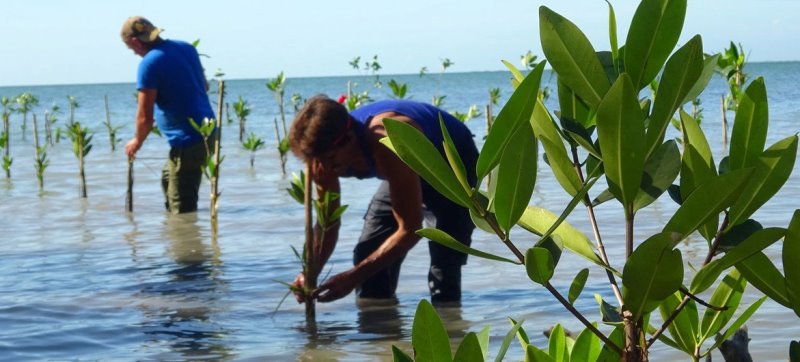 medio ambiente cuba