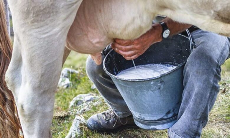 acopio de leche