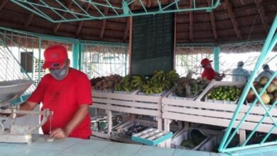 precios productos agropecuarios