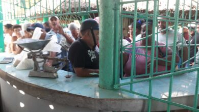 Fogueado en retos y adversidades Sandino desarrolló este sábado la feria agropecuaria